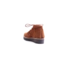 038 1629 C Camel3_1-3